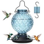 25oz Glass Hummingbird Feeder for Outdoors Hanging – Nectar Feeder with Ant Moat, 4 Bee-Proof Ports & 360° Perch | Leak-Proof Garden Bird Feeder (Gift for Women & Mom)